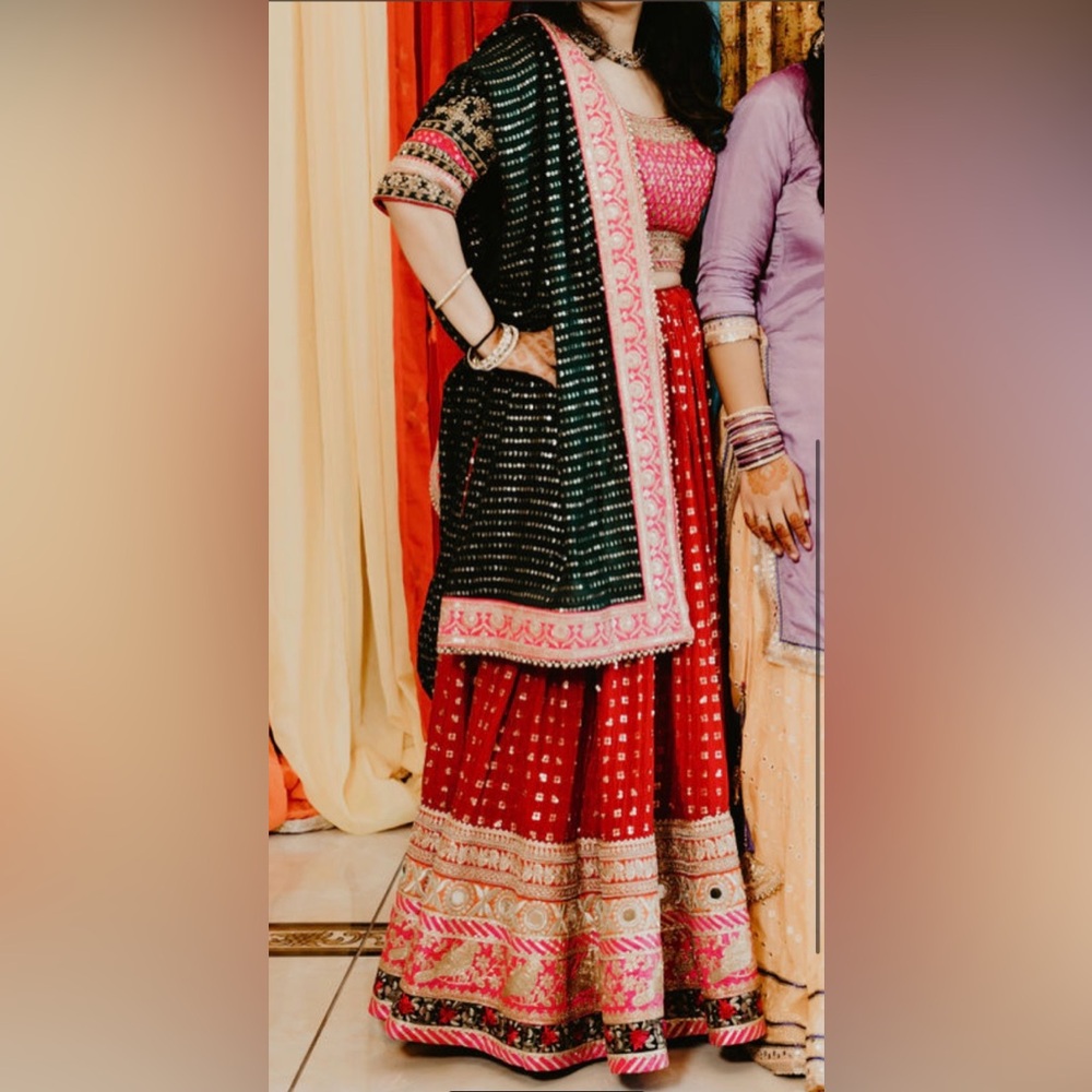 Heavy Pink Indian Punjabi lengha